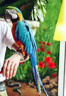 Зоопарк Рио