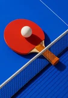 Настольный теннис