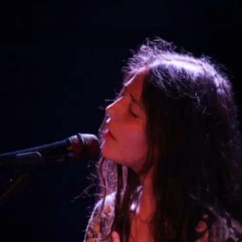 Алиса Тен и Капелла интровертов «Поиск взаимопони…»