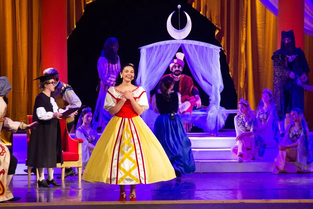 Полоумный Журден (Музыкальный театр)