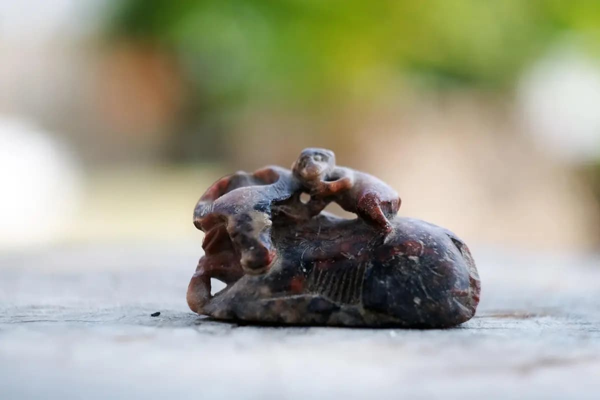 Анапа на великом шелковом пути (Археологический музей «Горгиппия»)