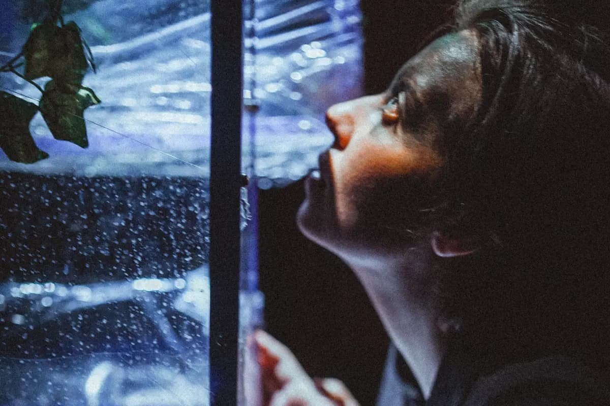 Иоганнес и Маргарет (Муха)