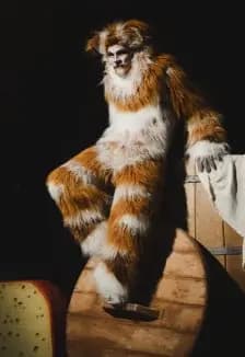 Все мыши любят сыр