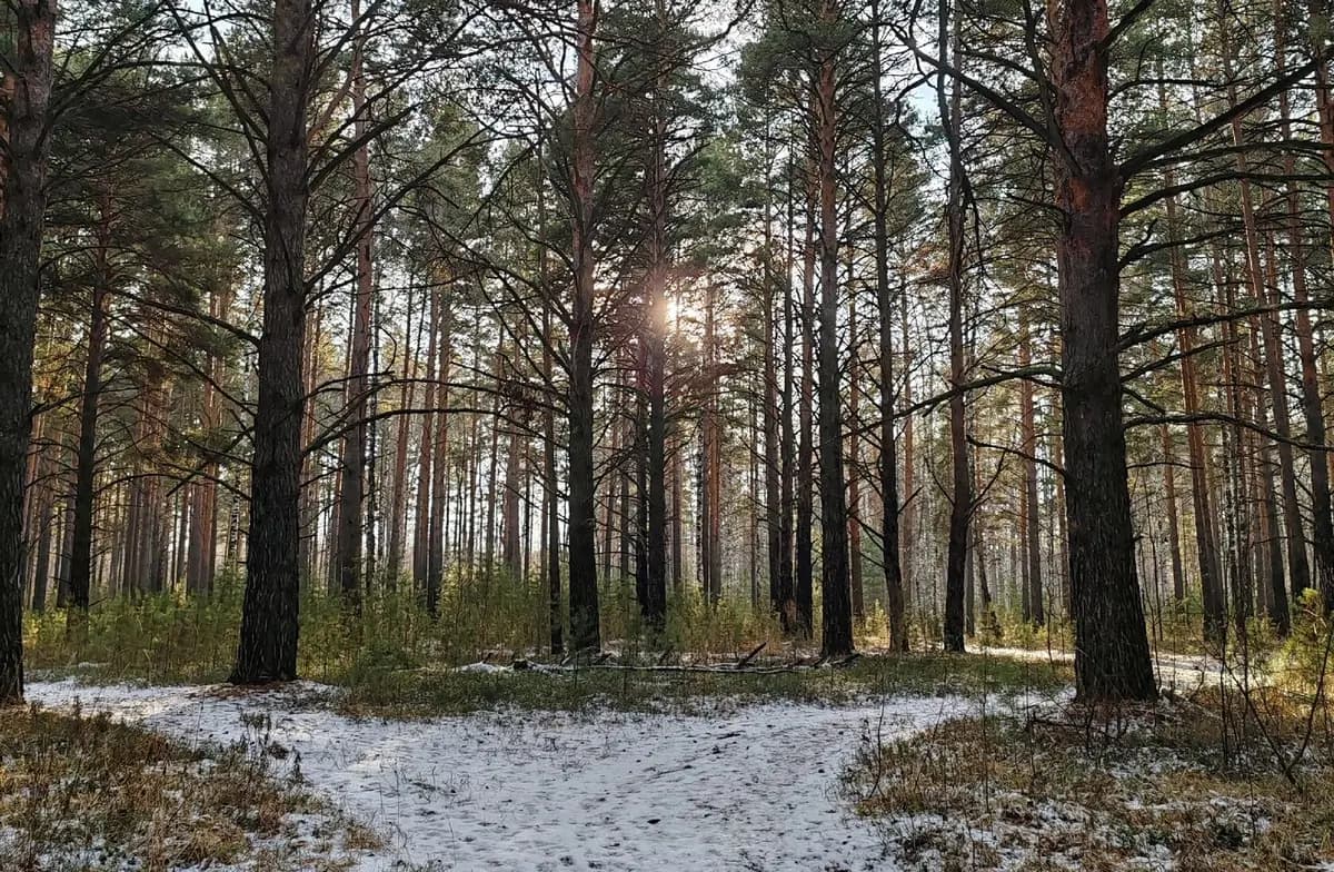 Девичник (Парковка отеля «Восток»)