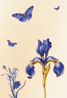 Альфа Банк Кубок Сильнейших по художественной гимнастике. 1 этап