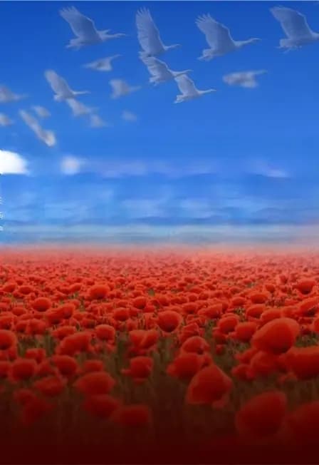 Память сердца: музыка, которая объединяет