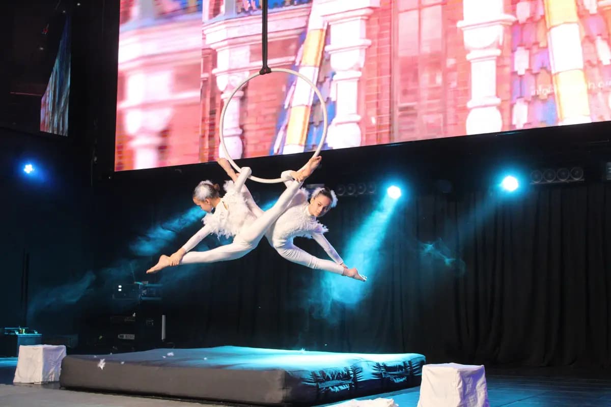 Кэт. Фестиваль воздушной гимнастики и пилонного искусства