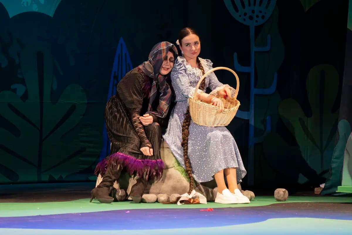 Сказка про весёлого эльфа и злую колдунью (Русский драматический театр им. Горького)