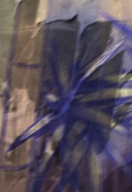 Периферия: Видение. Выставка