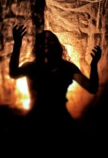 Любовь вне закона