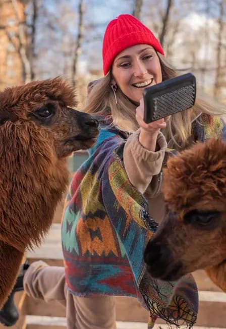 Бьюти-утро с альпаками в Пача Мама Ростов