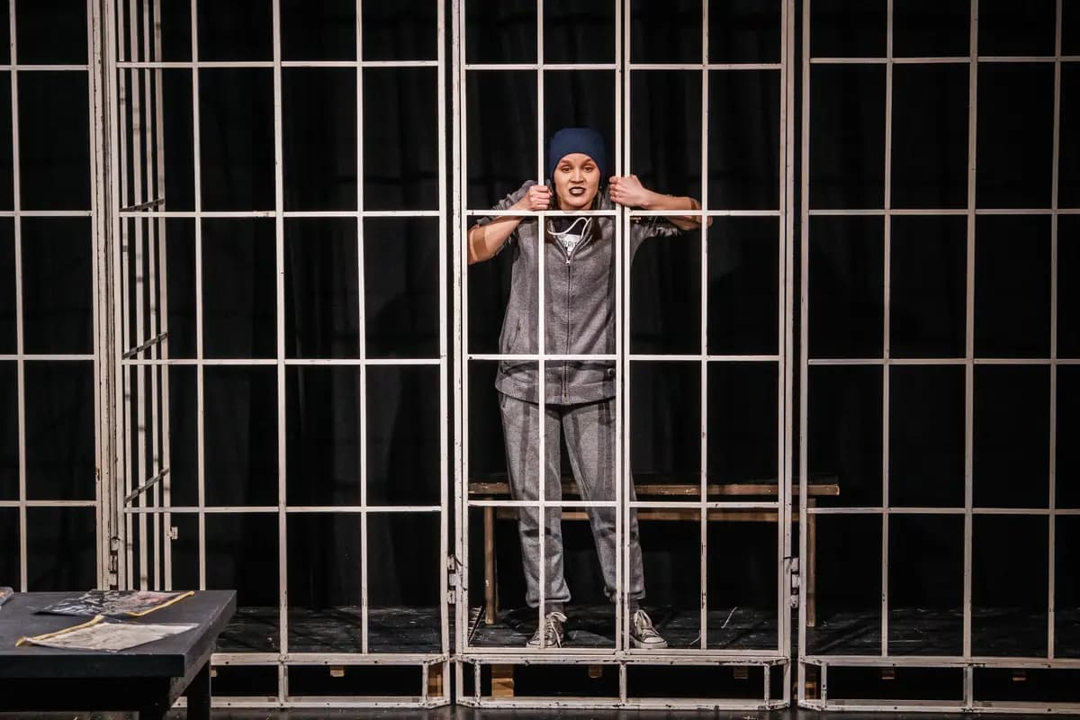 Наташина мечта (Русский драматический театр им. Бестужева)