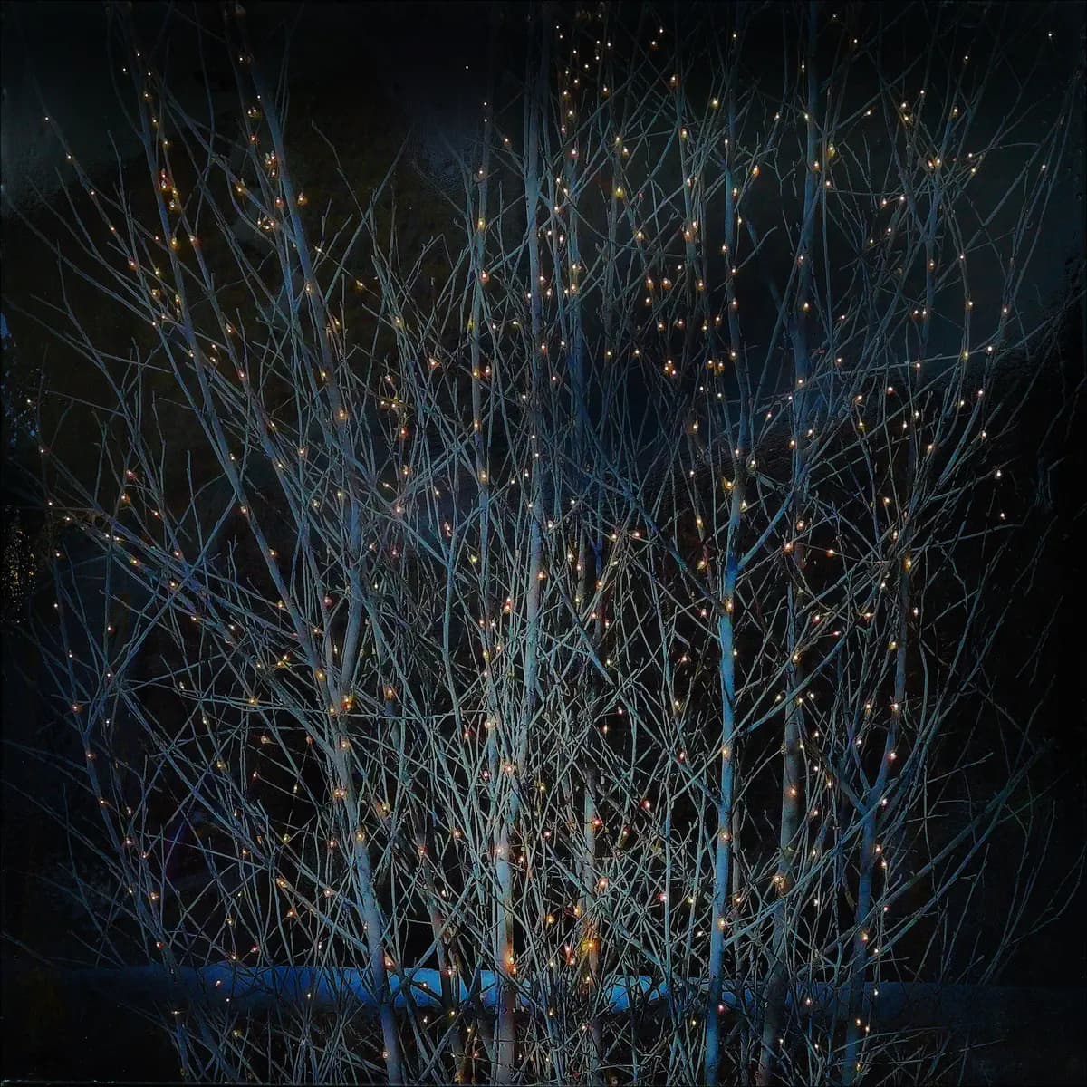 Северин Инфантэ. Метр квадратный (Sistema Gallery)