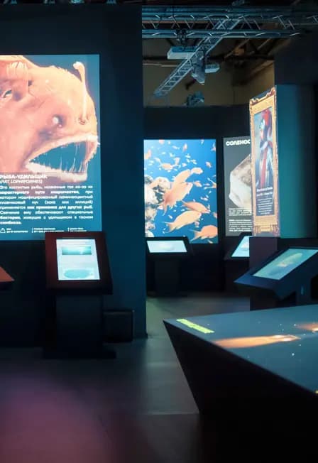 Сборная экскурсия "Планета Океан"