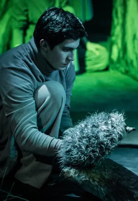 Сказка с закрытыми глазами. Ёжик в тумане