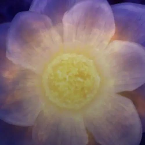 Эпоха звёзд