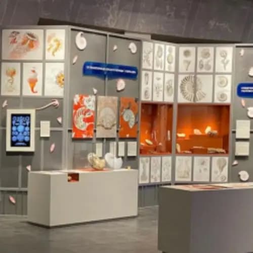 Рейс в мезозой: планетарий – метро