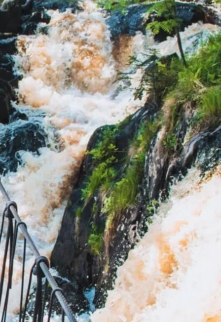 Карельский колорит: Рускеала, долина водопадов, хаски и лисы