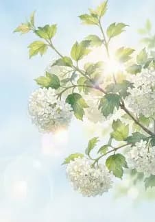 Звонкий месяц май