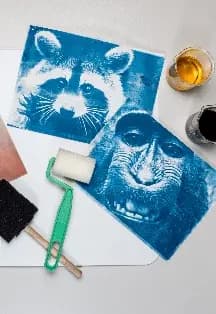 Фотография в синих тонах