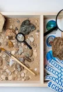 Охотники за окаменелостями