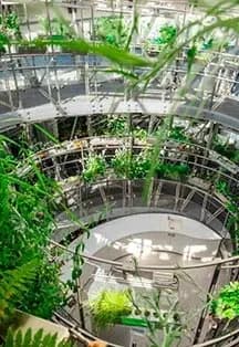 Флора России в аэропонике Флорариума