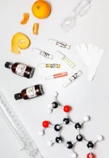 Планета вкусов