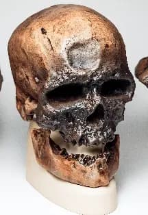 По следам человека