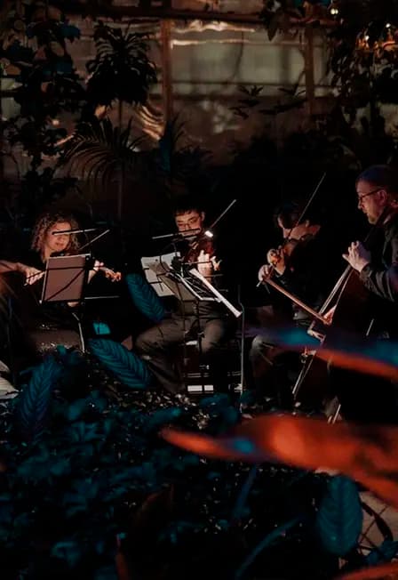 МАГИЯ СВЕЧЕЙ. “От Баха до рок-хитов" в Оранжерее