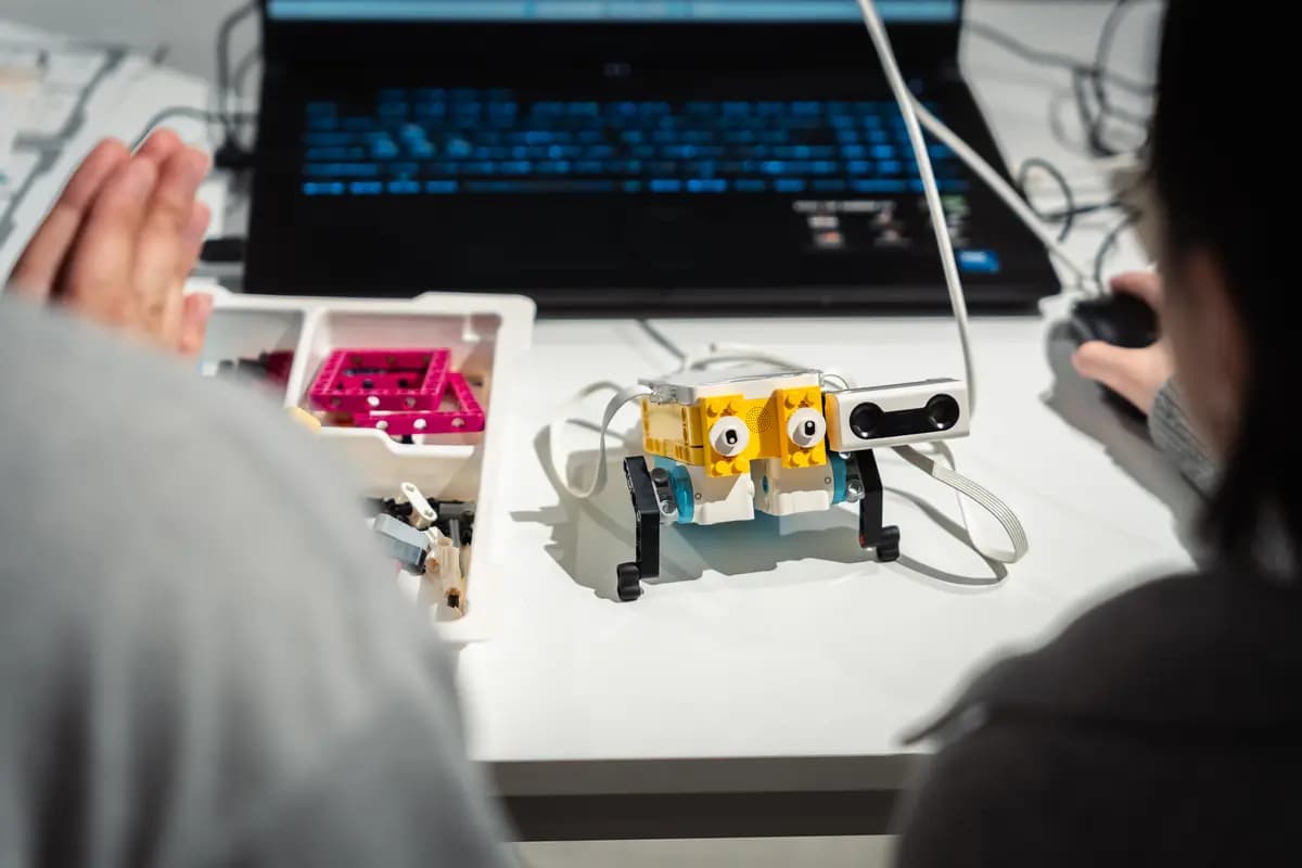 Создание и исследование мягких роботов: активация и переменная жёсткость (Центр современной культуры «Целинный»)