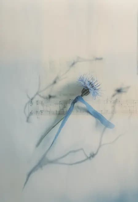 Посещение Старого Английского двора