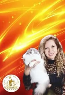 Большой чемпионат кошек и выставка рептилий