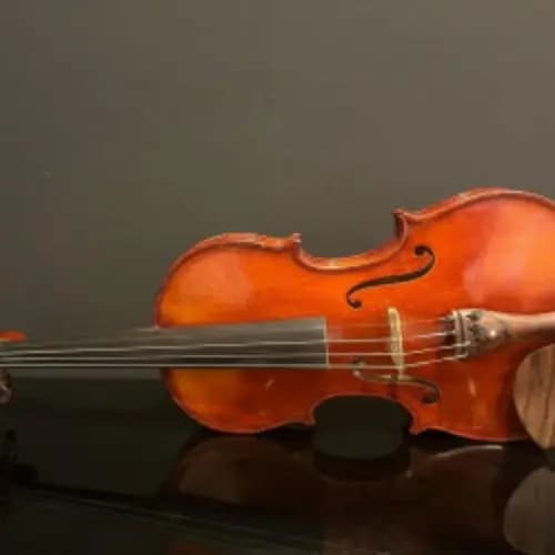 Классы профессоров С.А. Яковича и Ю.Г. Красько (скрипка)