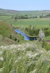 Оренбуржье – край неповторимый. Программа