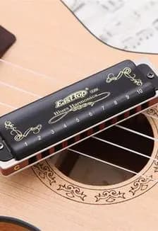 Мир музыки губной гармошки: Мастер-класс