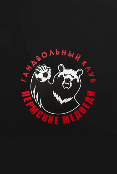 Гандбол ФИНАЛ ЗА 3 МЕСТО. Медвежье дерби. Пермские Медведи х Чеховские медведи (Чехов)