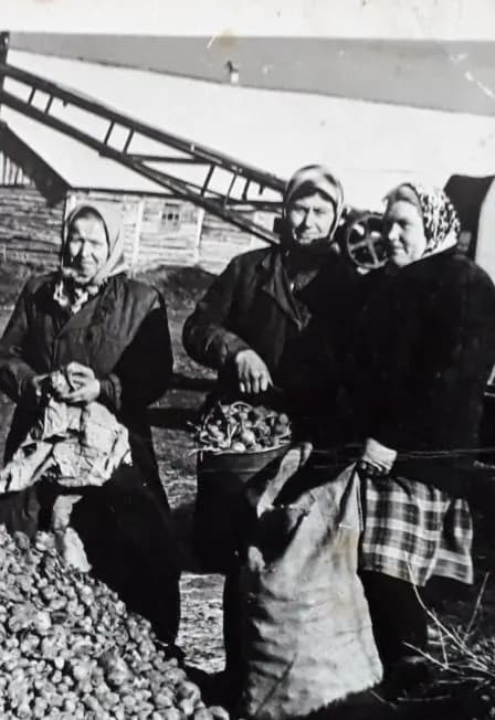 Шли девчонки по войне. Час истории