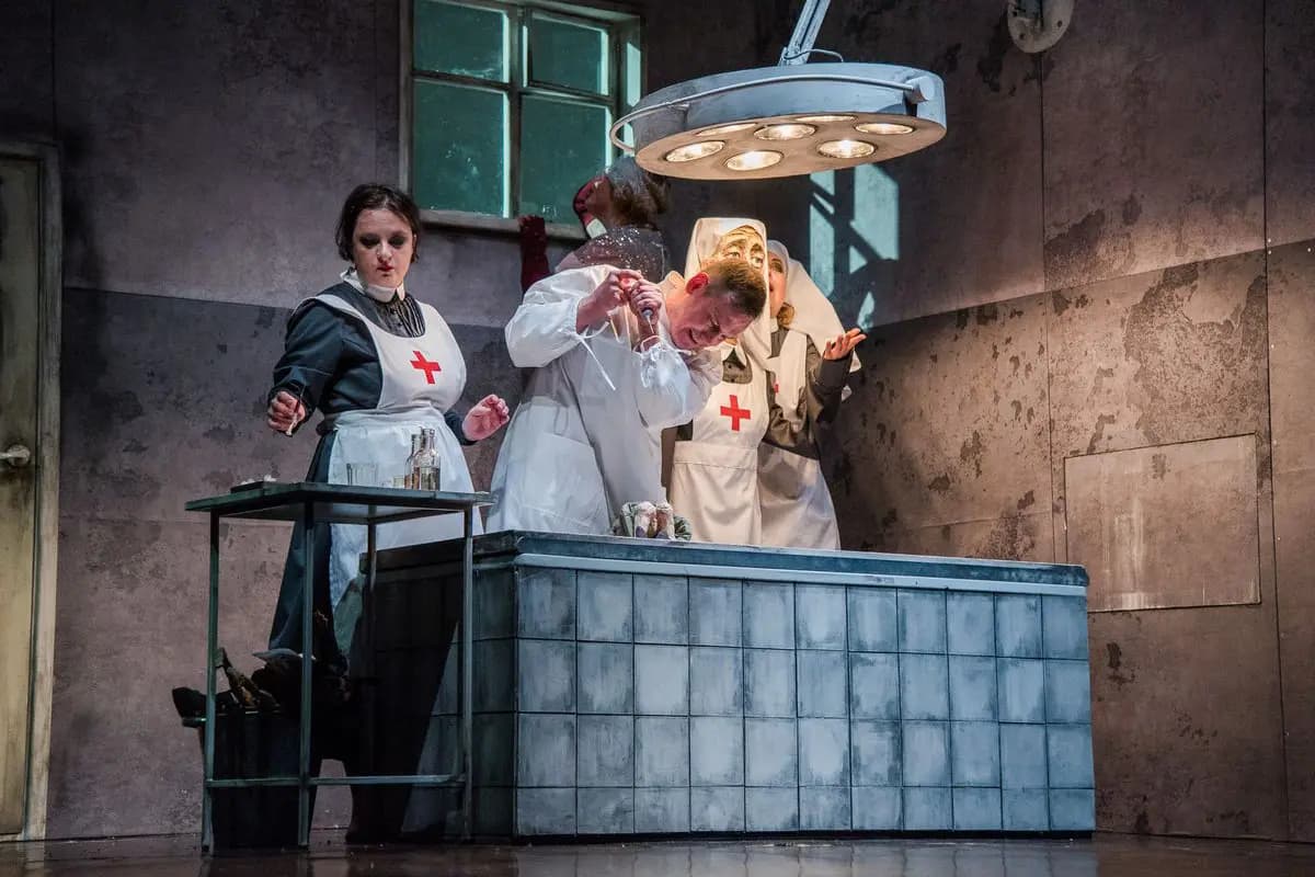 Записки юного врача (Молодёжный театр на Фонтанке)