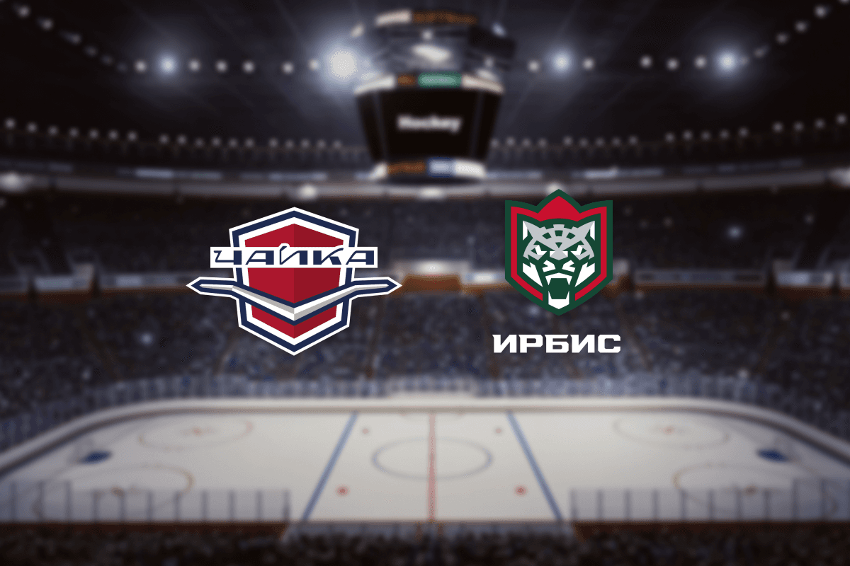 Чайка — Ирбис (Дворец спорта «Нагорный»)