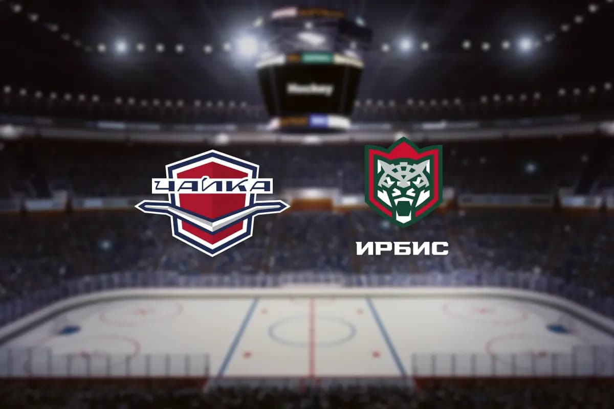 Чайка — Ирбис (Дворец спорта «Нагорный»)