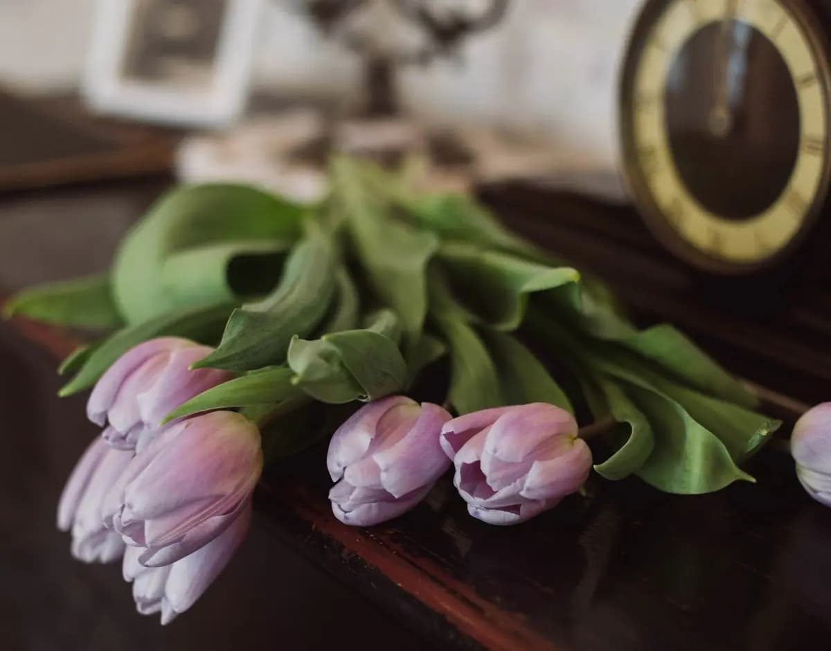 Дела сердечные. Эпоха балов и маскарадов (Заповедные кварталы)