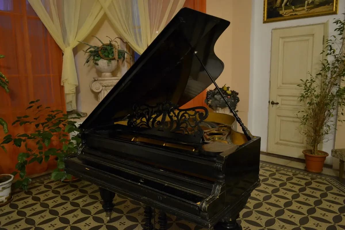 Экскурсия в особняк Шрёдера + концерт «Мгновения весны» (Дом Шрёдера)