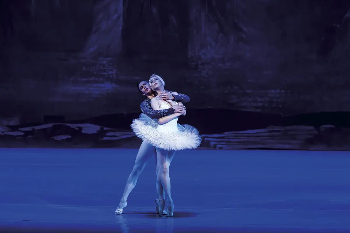 Лебединое озеро (РАМТ)