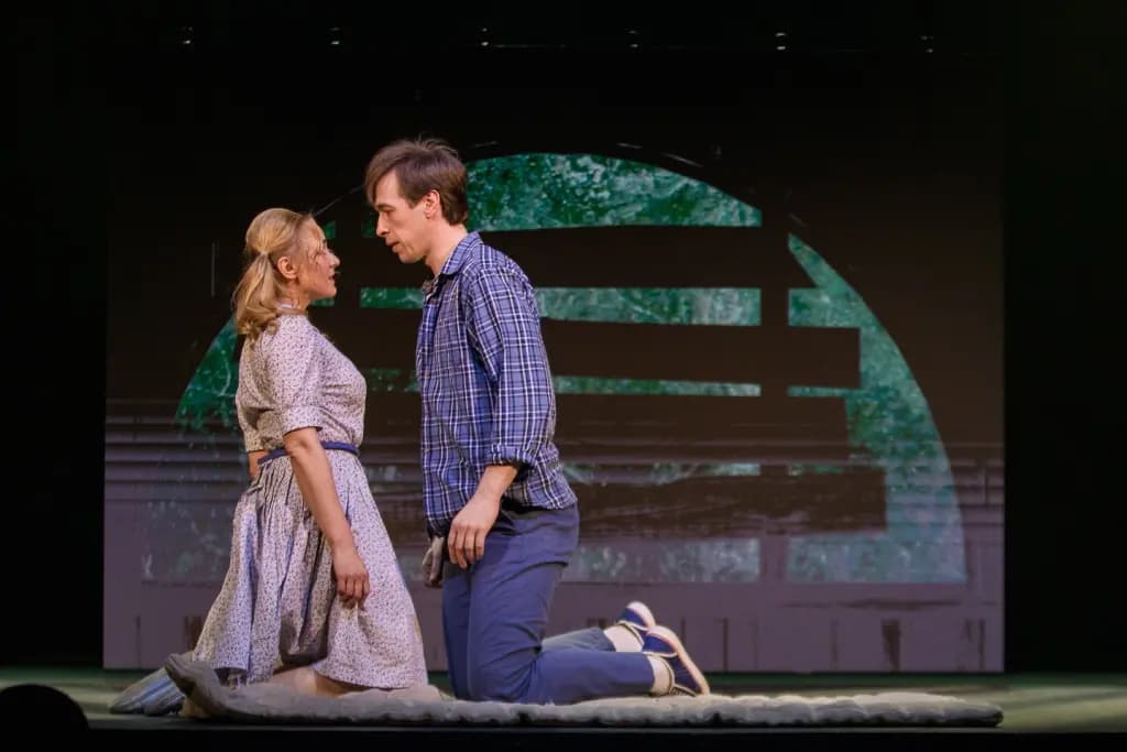 Старый дом (Театр комедии им. Акимова)