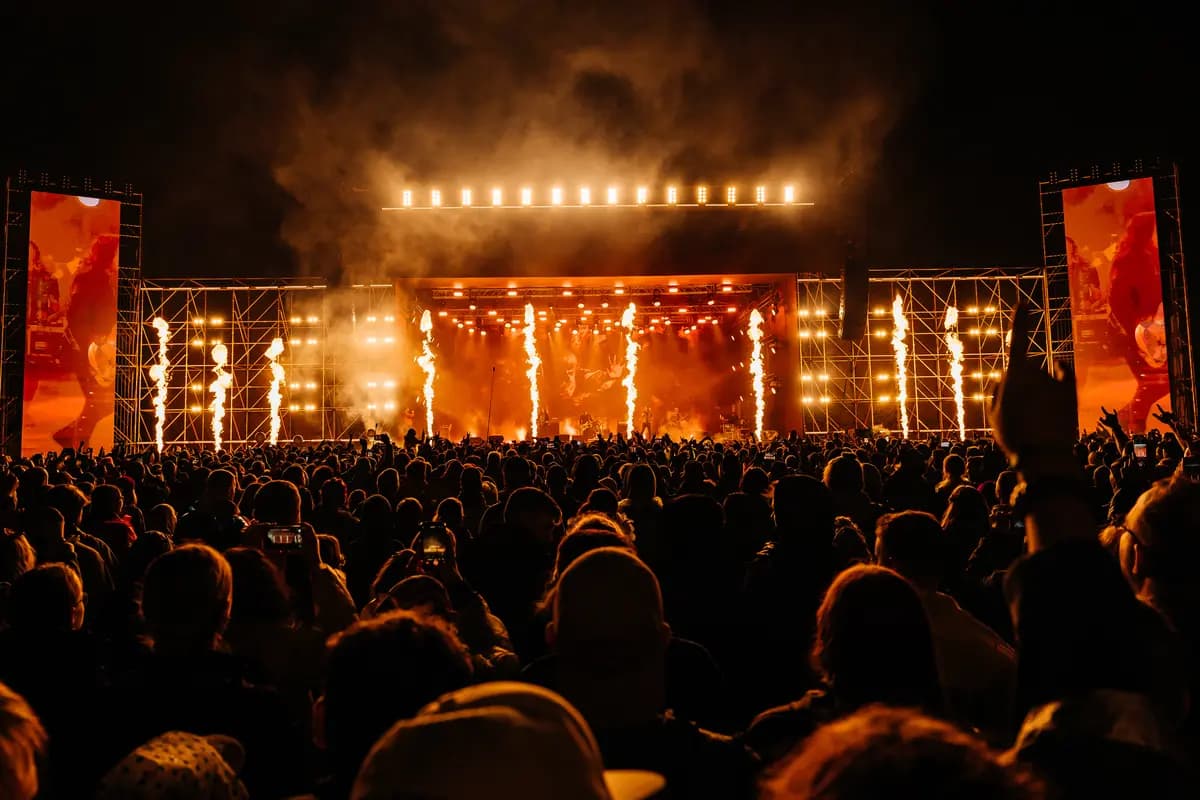 Дикая мята (Фестивальное поле «Дикой мяты» (Тульская область))