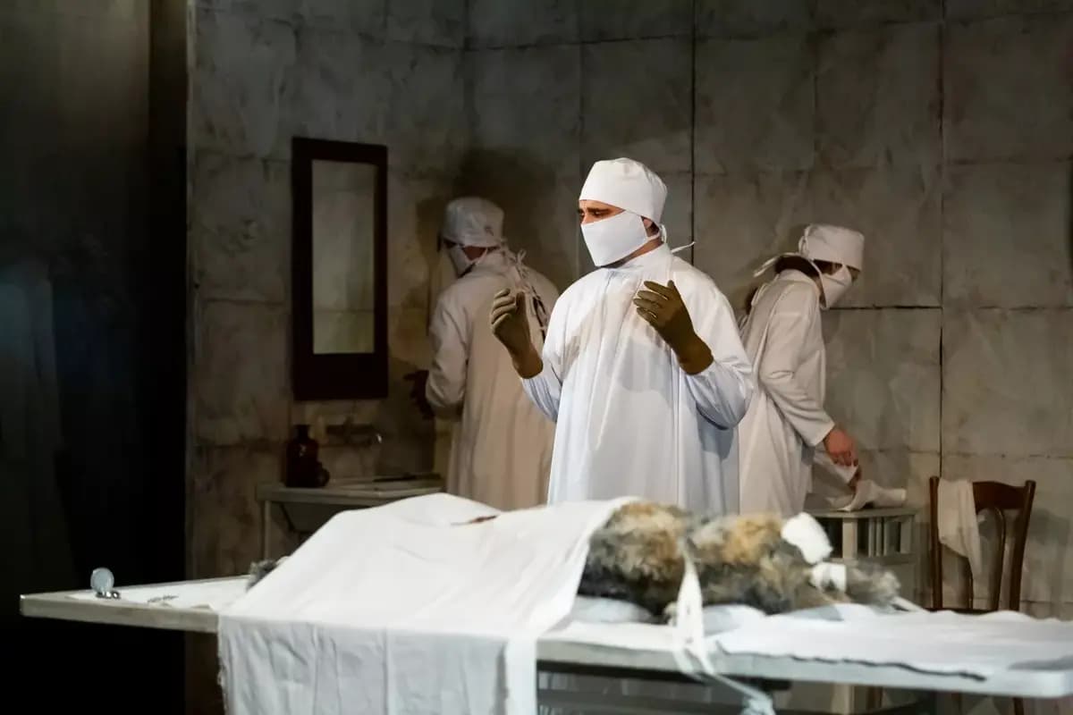 Собачье сердце (Красный факел)