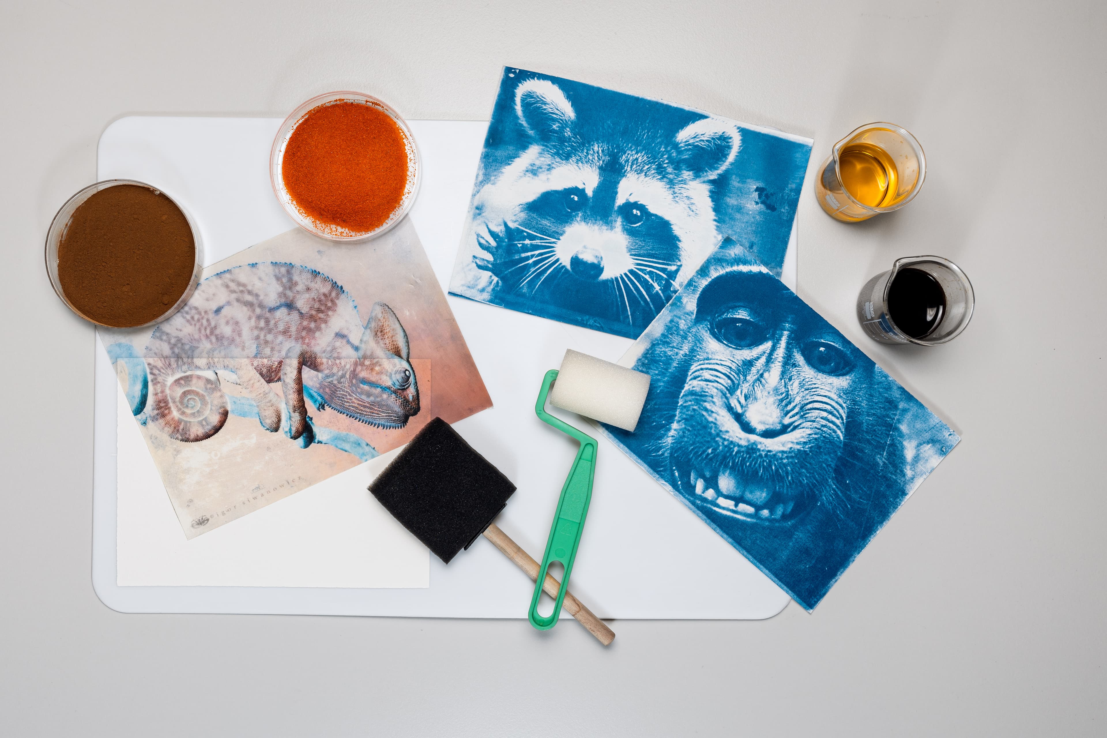 Фотография в синих тонах (Зарядье)