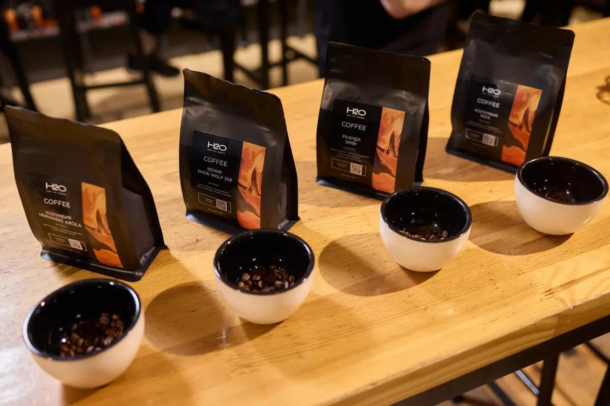 Мастер-класс по завариванию V-60 (H2O)