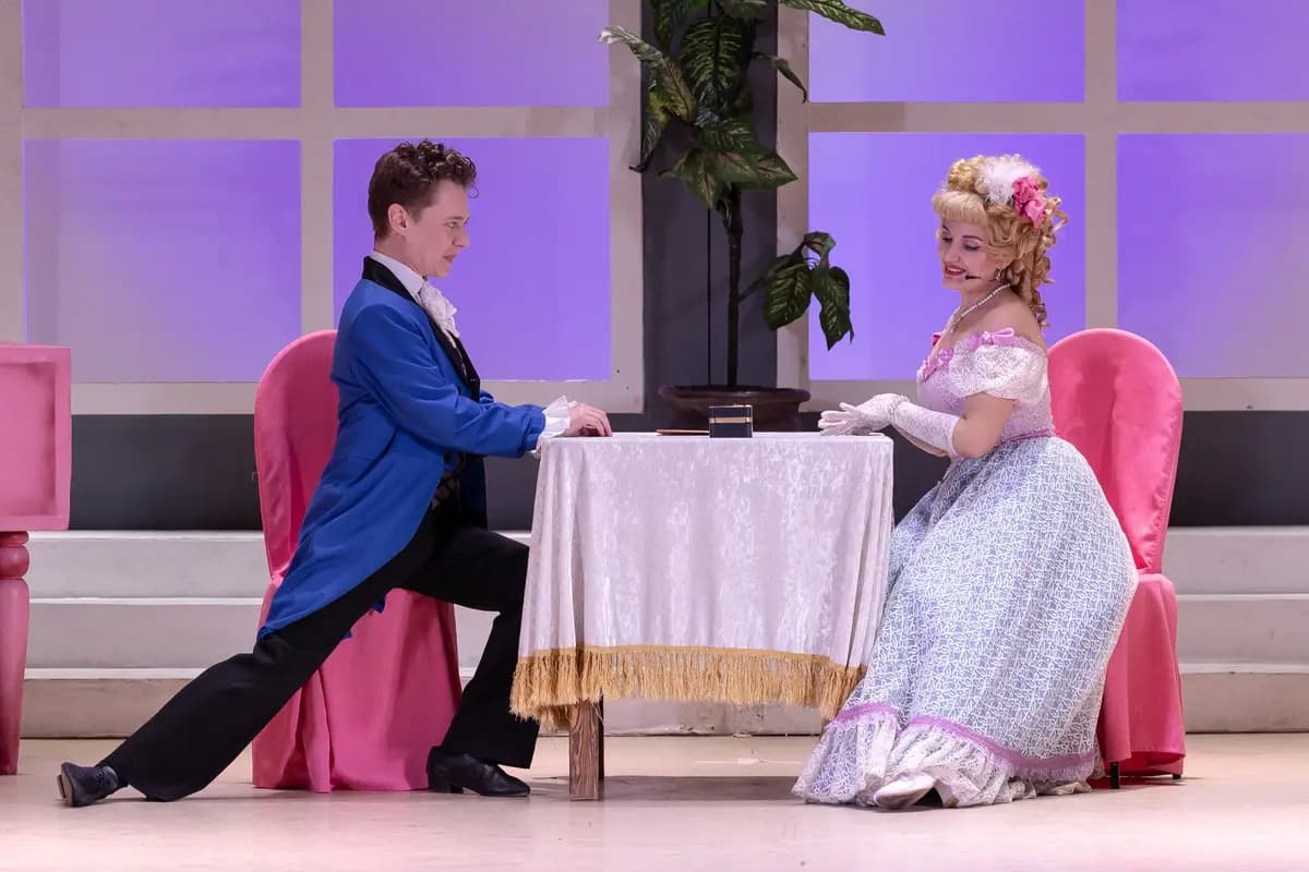 Беда от нежного сердца (Музыкальный театр)