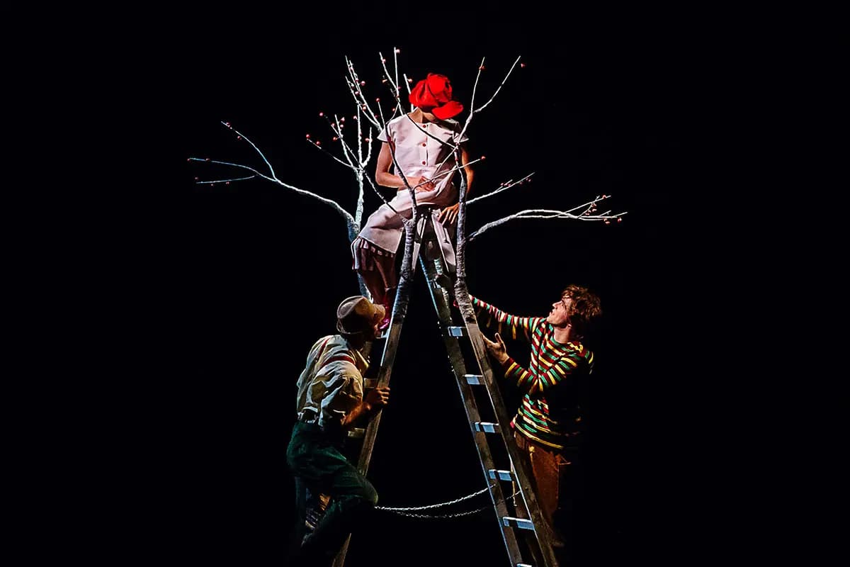 Мой дедушка был вишней (Новый театр)